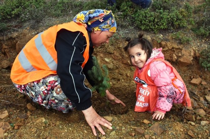 Tekirdağ Süleymanpaşa Belediyesi tarafından Altınova'da Minik eller fidanları toprakla buluşturdu
