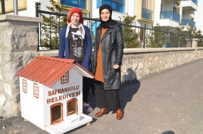 Safranbolu Belediyesi mahalleye "Kedi Evleri" yerleştiriliyor