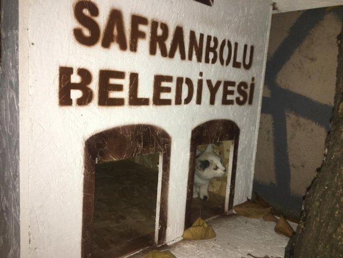 Safranbolu Belediyesi mahalleye "Kedi Evleri" yerleştiriliyor