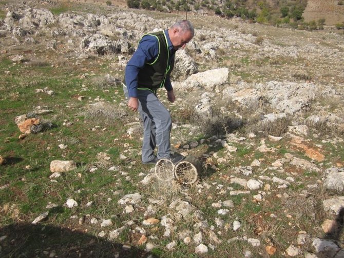 Adıyaman'da İl Jandarma Komutanlığı ekipleri kaçak avcılara göz açtırmıyor