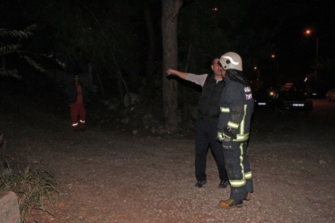 Antalya'nın Kemer ilçesindeki orman yangını korkuttu