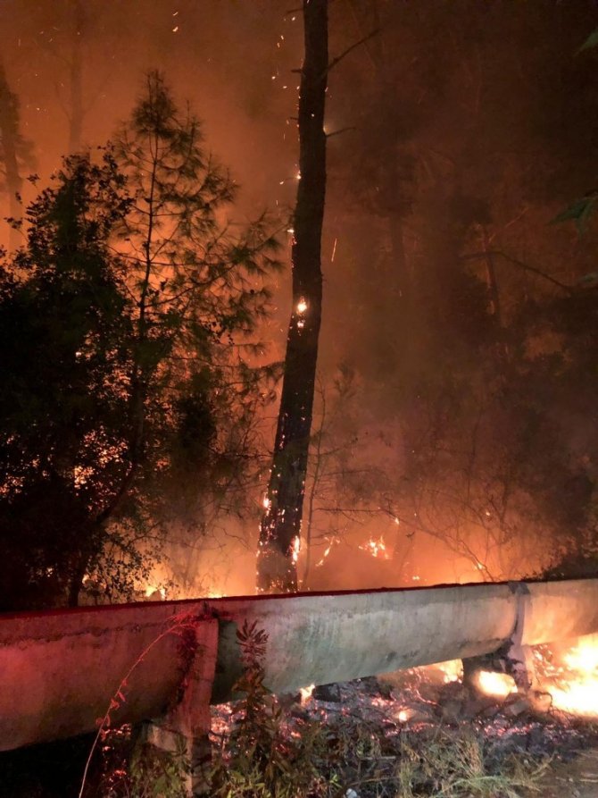 Antalya'nın Kemer ilçesindeki orman yangını korkuttu
