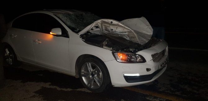 Bingöl'ün Genç ilçesinde Otomobil ineğe çarptı: 1 yaralı