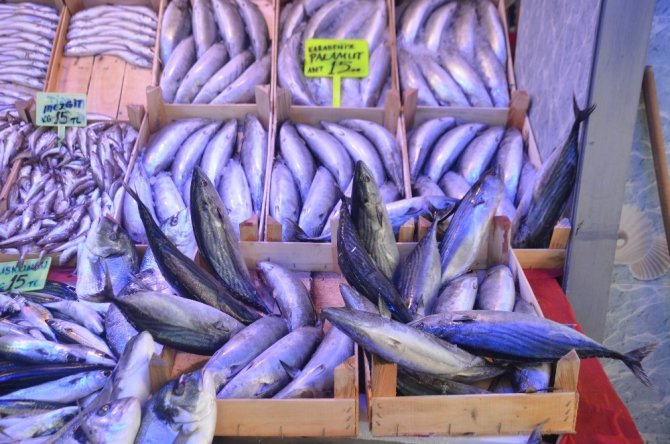 "Denizlerin kralı" olarak tabir edilen palamut tahtını hamsiye devretmeye hazırlanıyor