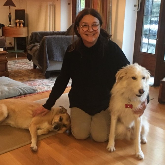 Vahşetin böylesi sokak köpeğinin başında 7 saçma bulundu