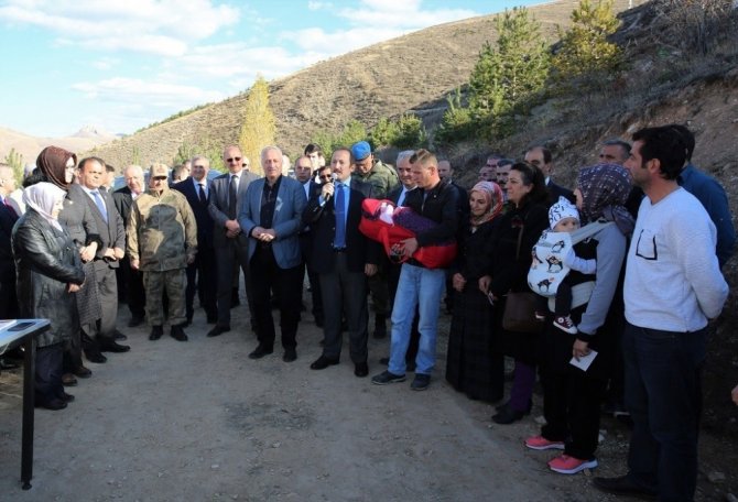 Yıl içinde doğan her bebek için bir didan dikildi