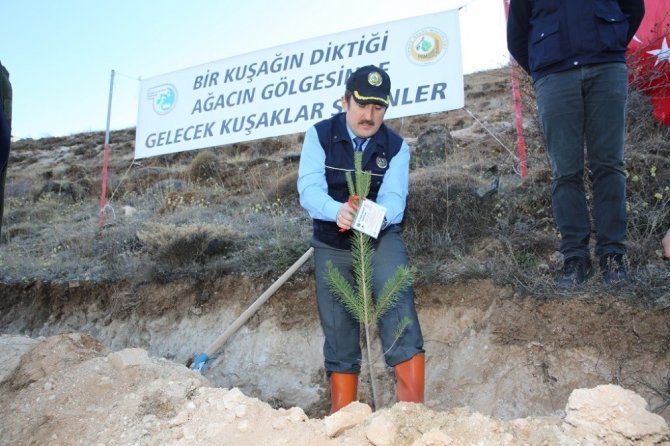 Yıl içinde doğan her bebek için bir didan dikildi