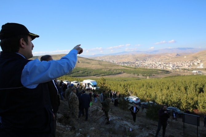 Yıl içinde doğan her bebek için bir didan dikildi