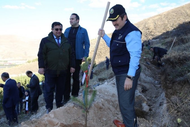 Yıl içinde doğan her bebek için bir didan dikildi