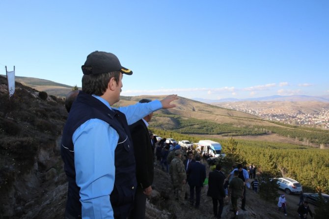 Yıl içinde doğan her bebek için bir didan dikildi