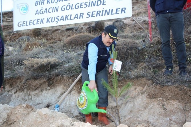 Yıl içinde doğan her bebek için bir didan dikildi