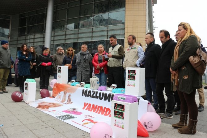 Soğuk hava koşullarında sokak hayvanlarına nasıl yardım edilmeli?