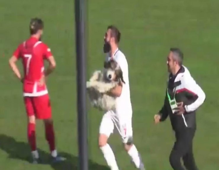 Bartın'da bölgesel amatör lig maçında sahaya giren bir köpek nedeniyle maç durdu