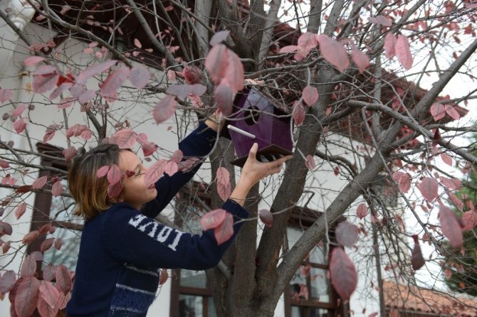 Kadın kursiyerlerden kuşlara renkli yuva "kuş yuvalarını ağaçlara astılar"