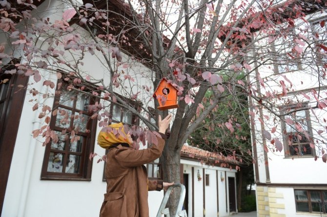 Kadın kursiyerlerden kuşlara renkli yuva "kuş yuvalarını ağaçlara astılar"