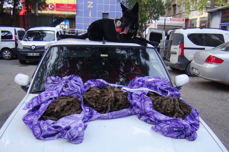 Kahramanmaraş'ta uyuşturucu operasyonu: 8 kilo esrar ele geçirildi