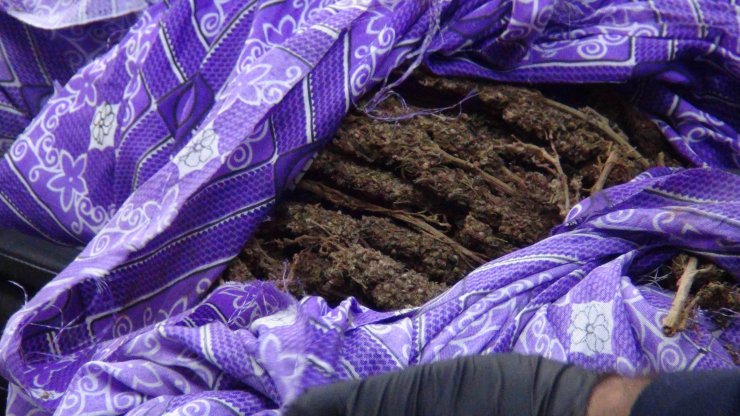 Kahramanmaraş'ta uyuşturucu operasyonu: 8 kilo esrar ele geçirildi