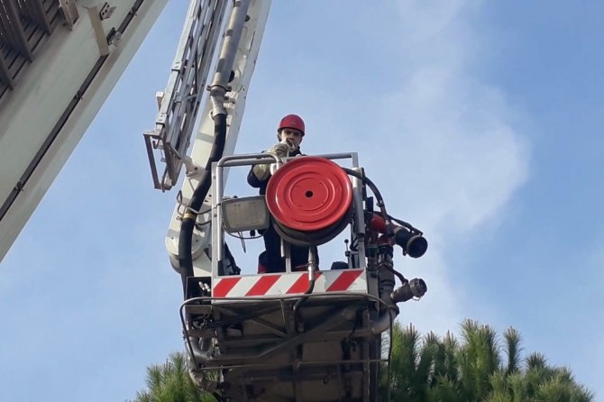 Adana Büyükşehir Belediyesi'ne bağlı itfaiye ekipleri "Ağaçta mahsur kalan kediyi itfaiye kurtardı"