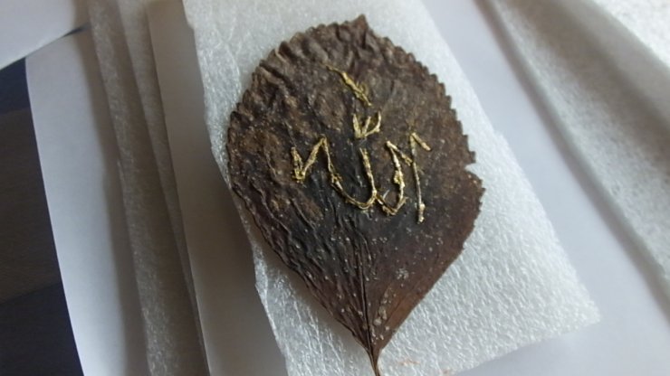 Yıllarca neşter tutan eller artık sanat üretiyor