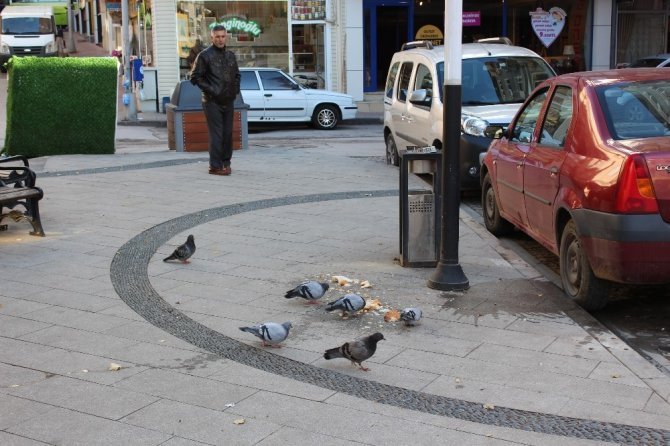 Hayvan sevgisi adına bırakılan yiyecekler çevre kirliliğine neden oluyor