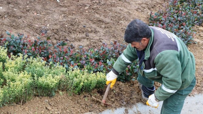 Kocaeli Büyükşehir Belediyesi tarafında Çayırova kavşağı yeşillendiriliyor