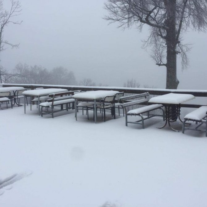 Kocaeli’nin yüksek kesimleri beyaza büründü! Büyükşehir trafiğin aksamasını engelledi!