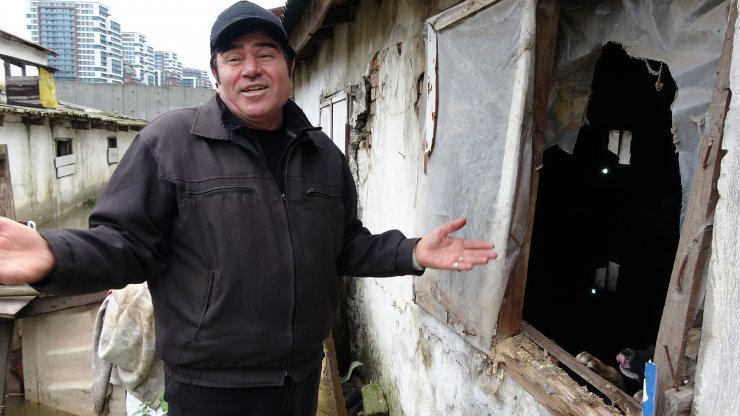 Kağıthane'de eski mandırayı su bastı, kümes hayvanları telef oldu