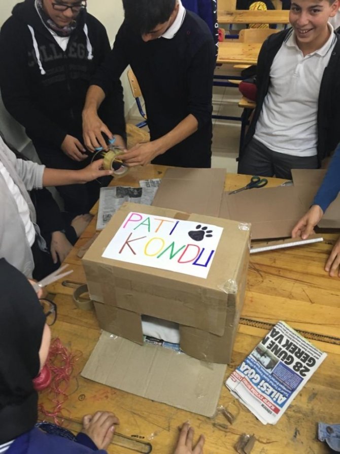 Sokak canlıları için gönüllü desteği