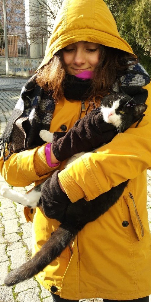 Sokak canlıları için gönüllü desteği