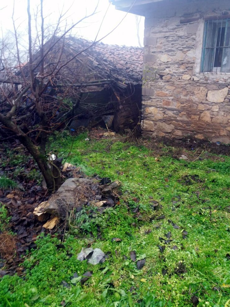 Kayıp alzheimer hastası Zübeyde Bozkurt ölü bulundu