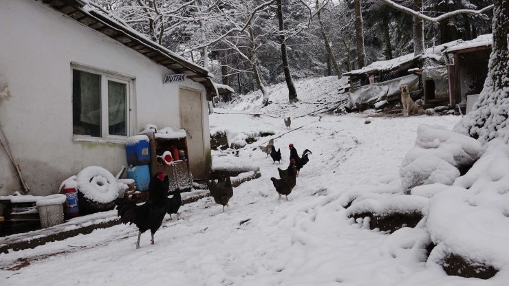 Kazdağları beyaza büründü "karpostallık manzara, görenleri adeta büyülüyor"