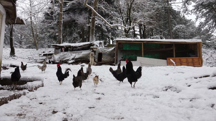 Kazdağları beyaza büründü "karpostallık manzara, görenleri adeta büyülüyor"