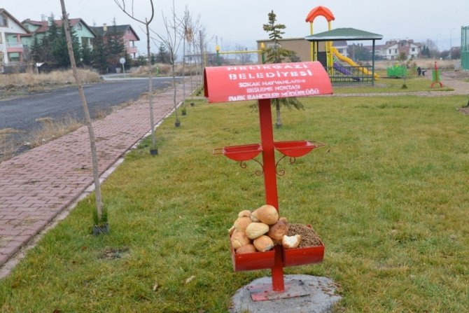 Memduh Büyükkılıç, “29 ayrı bölgede Sokak hayvanları için beslenme noktaları oluşturuldu”