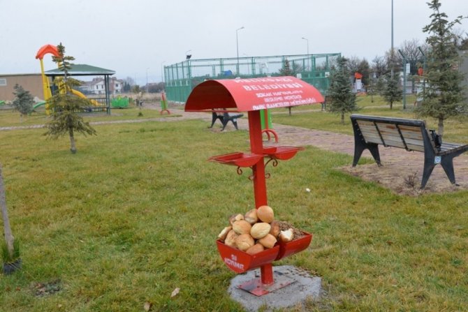 Memduh Büyükkılıç, “29 ayrı bölgede Sokak hayvanları için beslenme noktaları oluşturuldu”