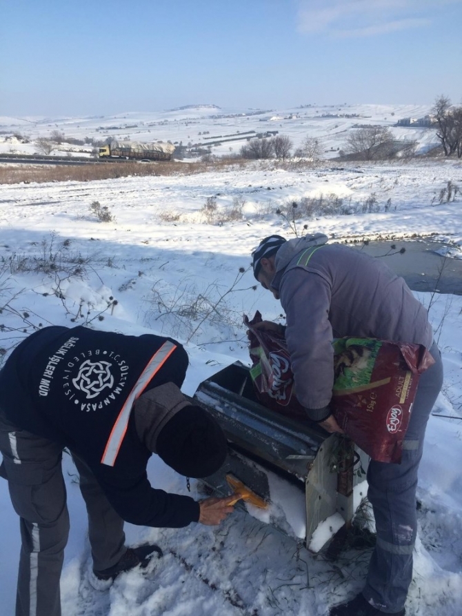 Süleymanpaşa Belediyesi sokak hayvanlarını unutmadı