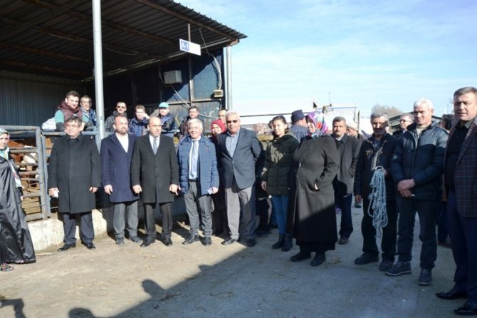 34 çiftçiye 5'er düve olmak üzere toplam 170 düve kura çekilerek törenle dağıtıldı