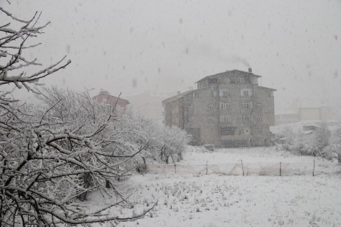 Hizan’da kar yağışı "Bitlis'in Hizan ilçesinde etkili olan kar yağışı hayatı olumsuz etkiledi"
