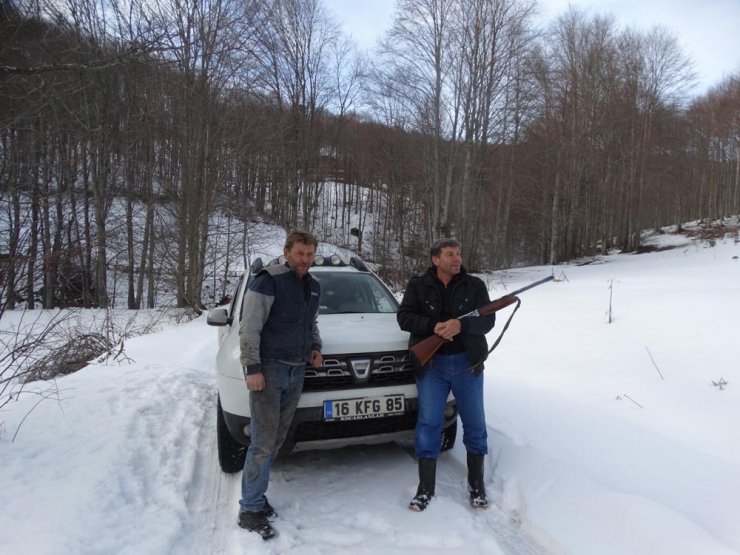 KÜTAHYA'nın Domaniç ilçesine bağlı Safa köyünde Köylüler ayı nöbetinde