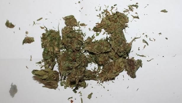 Adıyaman İl Jandarma Komutanlığı ekipleri uyuşturucuya geçit vermiyor