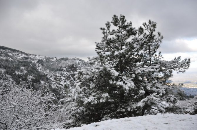 Manisa'nın bin 517 rakımlı Spil Dağı beyaz gelinliğe büründü