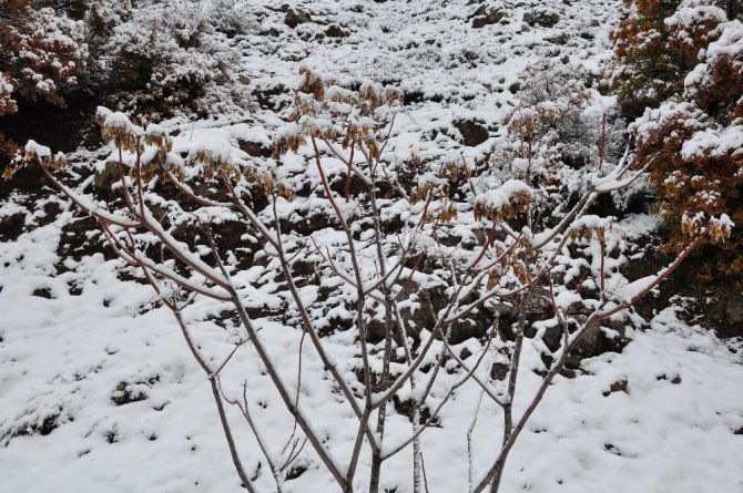 Manisa'nın bin 517 rakımlı Spil Dağı beyaz gelinliğe büründü