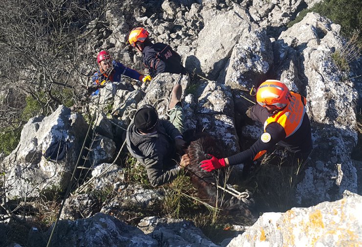 Çanakkale'nin Biga ilçesinde Kayalıklarda mahsur kalan keçileri AFAD kurtardı