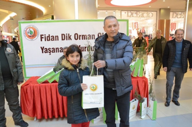 Malatya Orman İşletme Müdürlüğünce Yeni yıl öncesi ücretsiz çam fidanı dağıtıldı