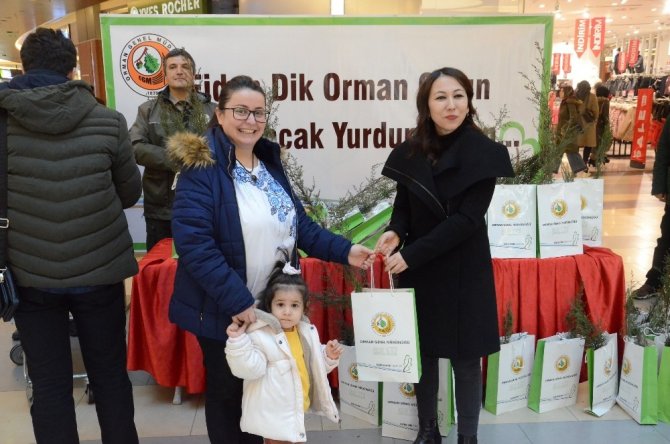 Malatya Orman İşletme Müdürlüğünce Yeni yıl öncesi ücretsiz çam fidanı dağıtıldı