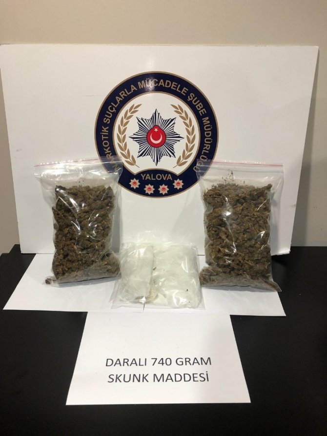 Yalova polisinden uyuşturucu operasyonu "740 gram shunk ele geçirildi."