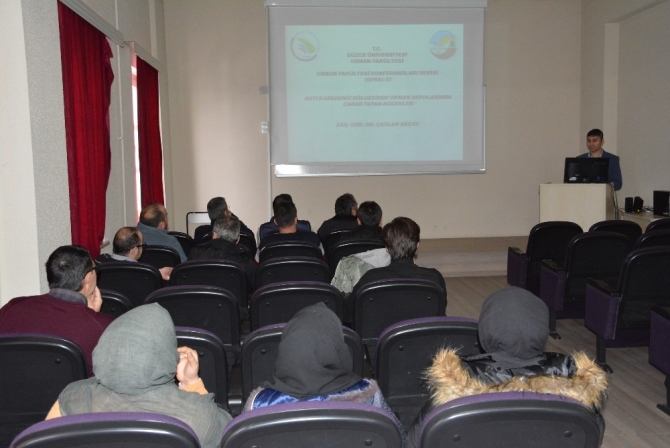 Orman depoları bilinçli şekilde oluşturulmalı