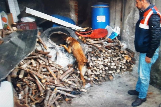 Söke’de 774 gram kubar esrar ve 40 gram kenevir tohumu ele geçirildi.