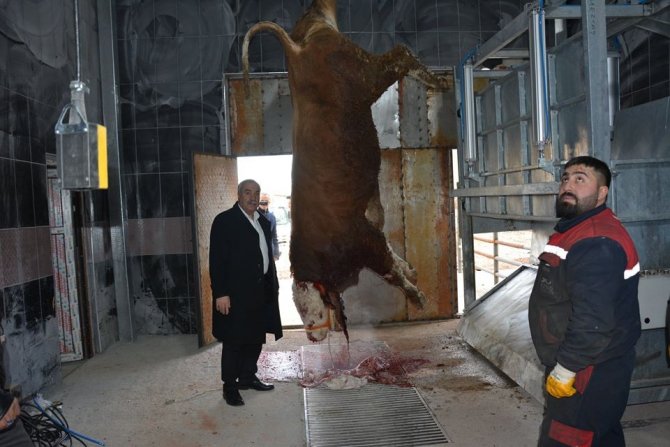 Tercan modern kesimhaneye kavuştu "modern kesimhanede deneme kesimleri başladı."