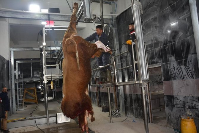 Tercan modern kesimhaneye kavuştu "modern kesimhanede deneme kesimleri başladı."