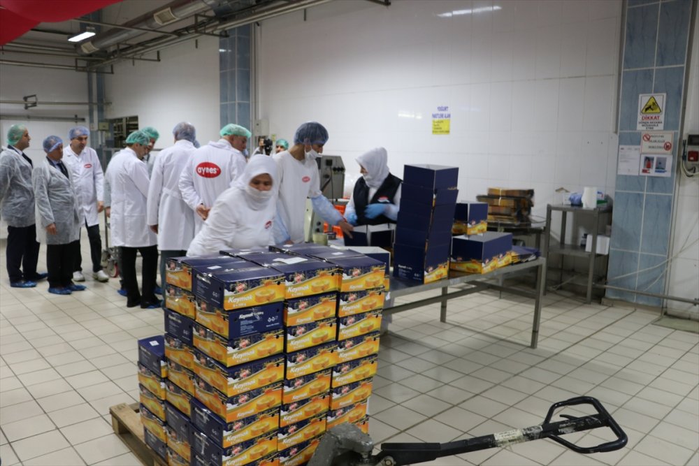 İflas Etmek Üzereyken FETÖ'den Alınan Aynes Gıda Yüzde 40 Büyüdü